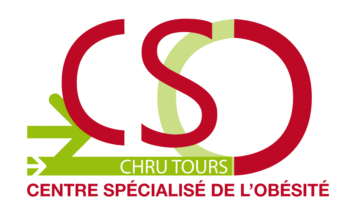 Logo_CSO-Tours_original