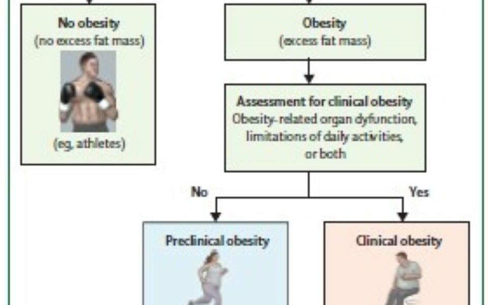 Quand l’obésité devient une maladie – Rapport Lancet 2025